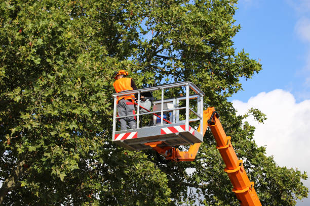 Best Tree Trimming and Pruning  in Atlanta, GA